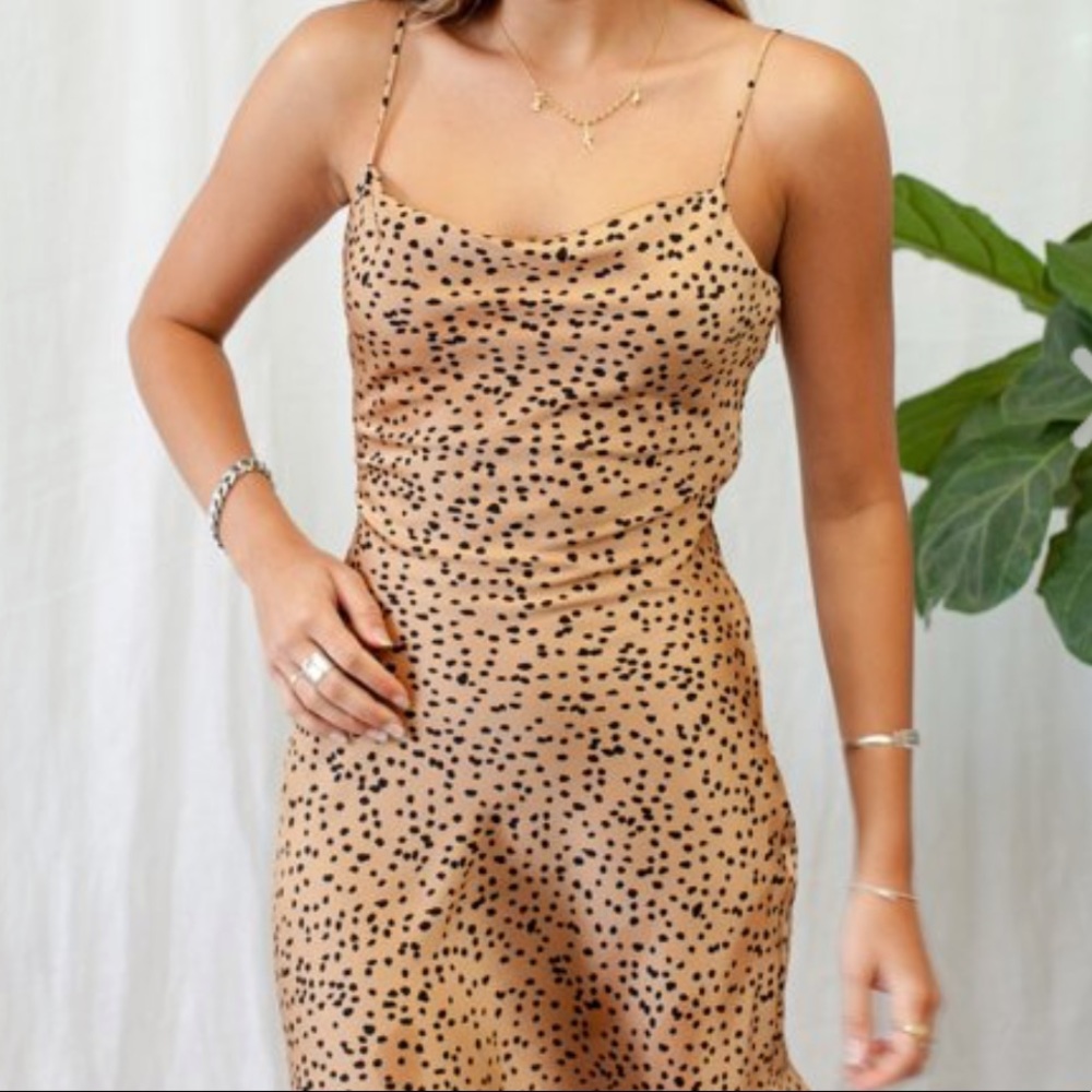 In The Studio Tan Animal Print Dress